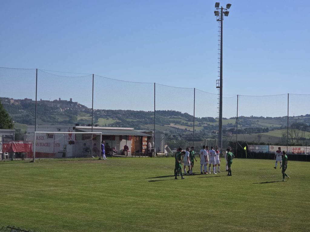 sb-falco